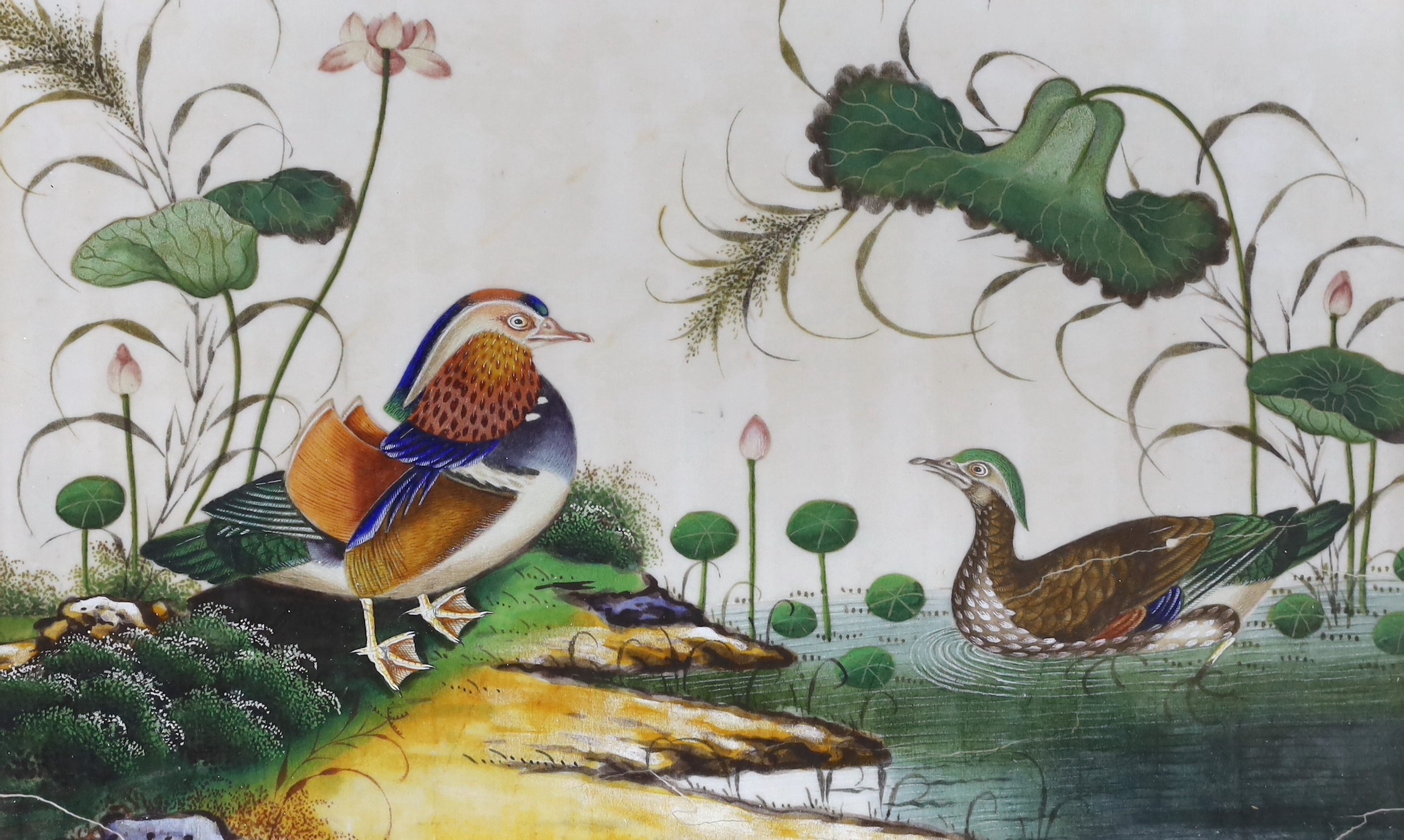 19th century Chinese School, four gouaches on pith paper, Studies of birds in landscapes, 18 x 30cm